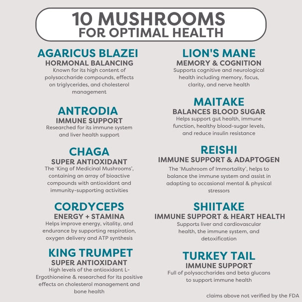 Organic 10 Mushroom Blend